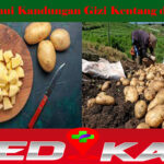 Ketahui Kandungan Gizi Kentang di Sini