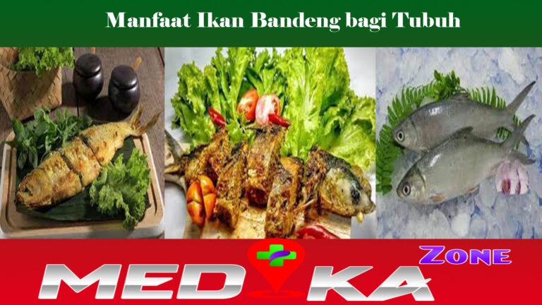 Manfaat Ikan Bandeng bagi Tubuh