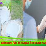 Fakta Minum Air Kelapa Setelah Vaksin