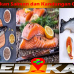 Manfaat Ikan Salmon dan Kandungan Gizinya